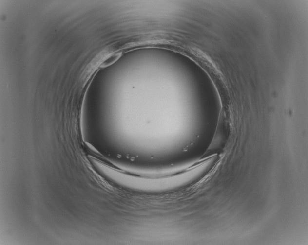 X0000071811177200607141603