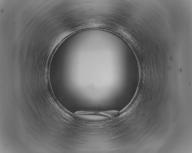 X0000071811178200607141603