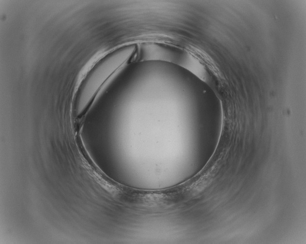 X0000071811180200607141603