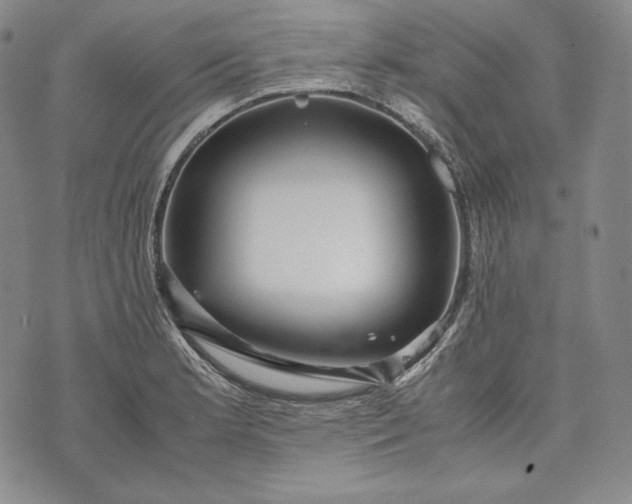 X0000071811181200607141603