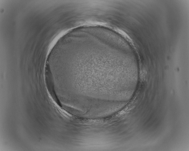 X0000071811183200607141603