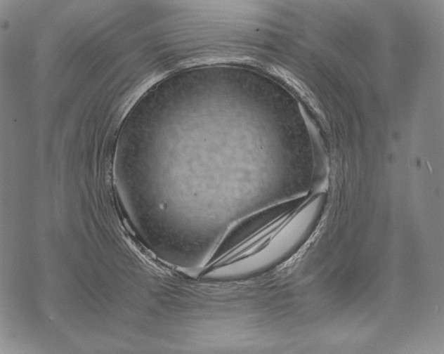 X0000071811185200607141603