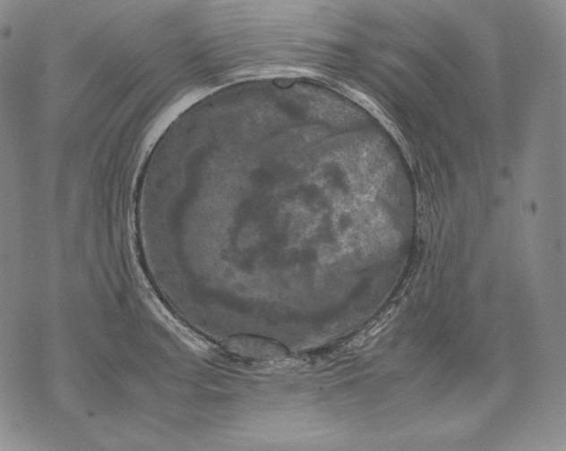 X0000071811187200607141602