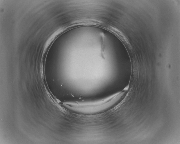 X0000071811188200607141602