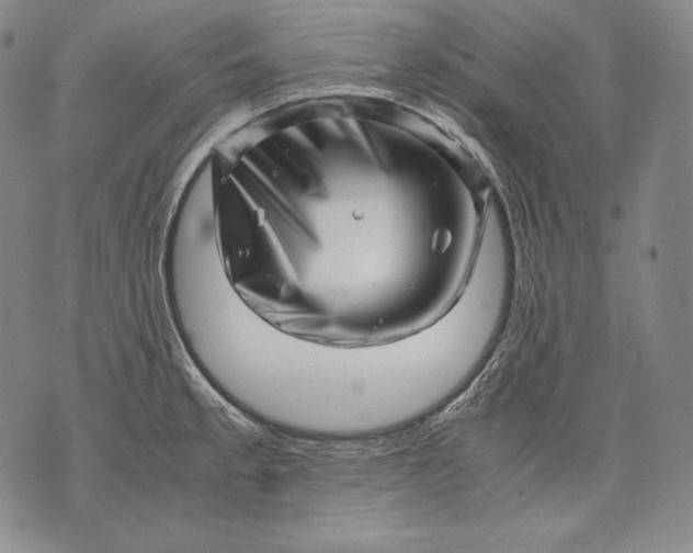 X0000071811189200607141602