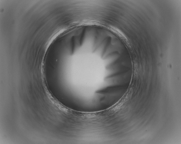 X0000071811190200607141602