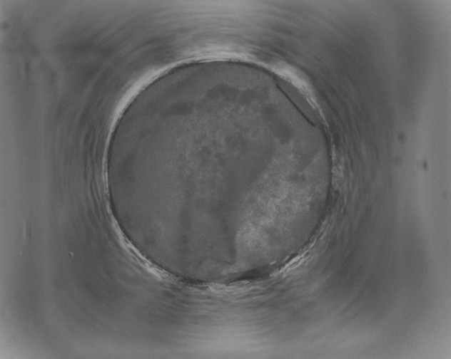 X0000071811191200607141602