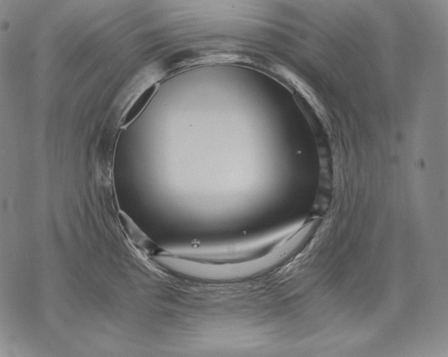 X0000071811193200607141602