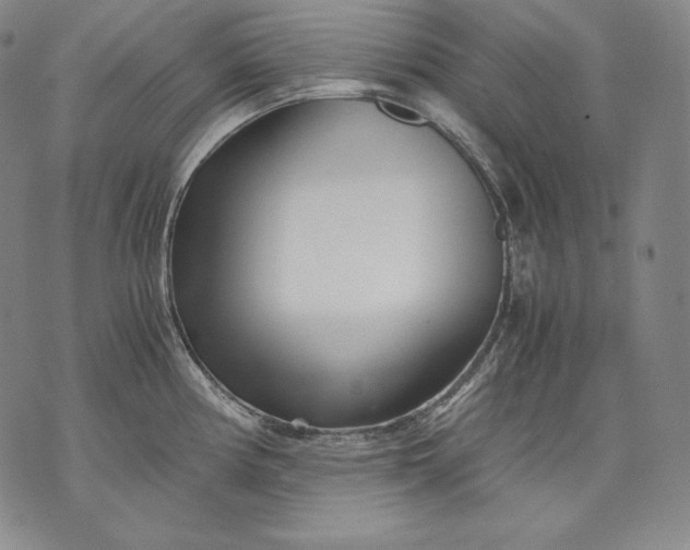 X0000071811194200607141602