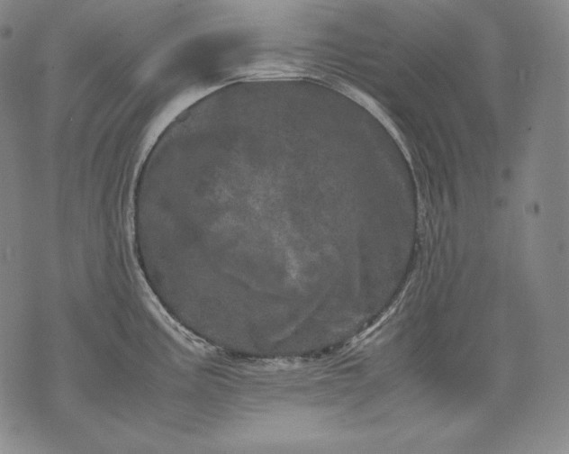 X0000071811195200607141602