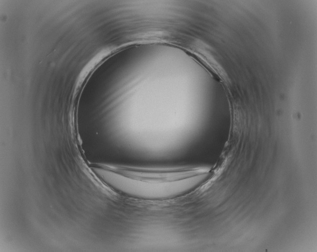 X0000071811196200607141602