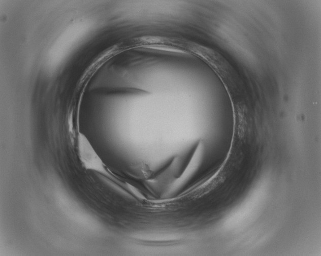 X0000071811198200607141602