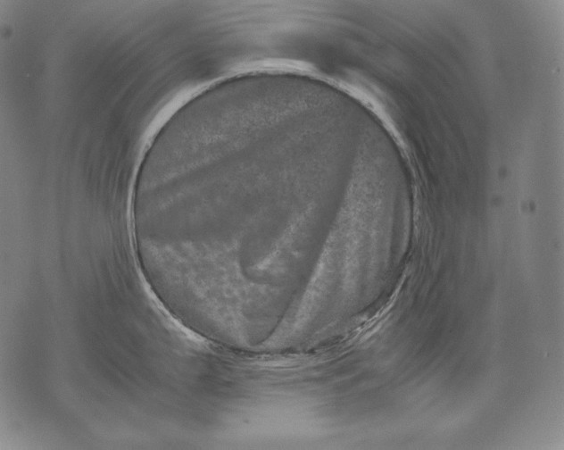 X0000071811199200607141602