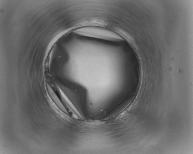 X0000071811200200607141602