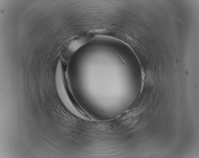 X0000071811202200607141602