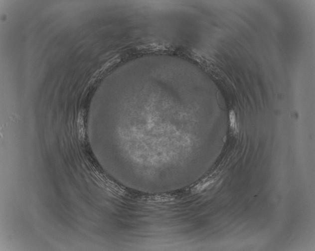 X0000071811203200607141602