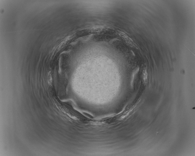 X0000071811204200607141602