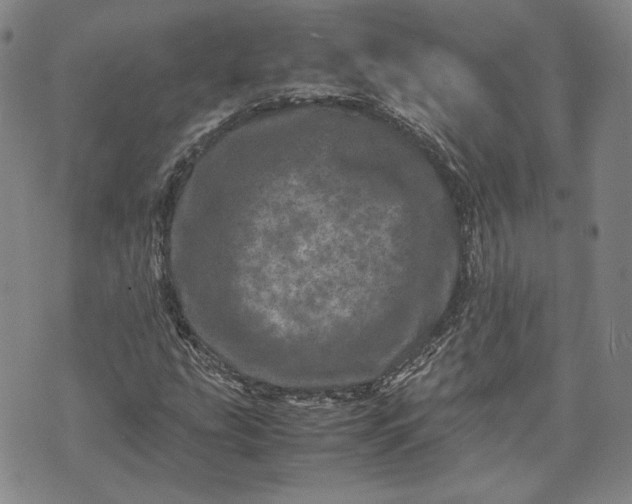 X0000071811207200607141602