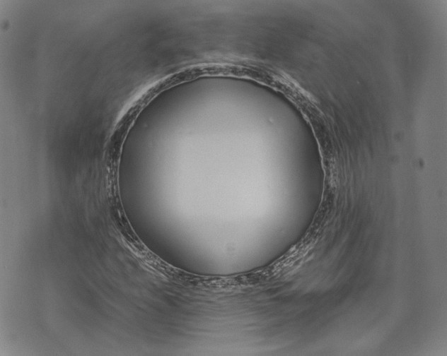 X0000071811208200607141602