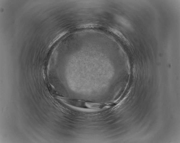 X0000071811209200607141602