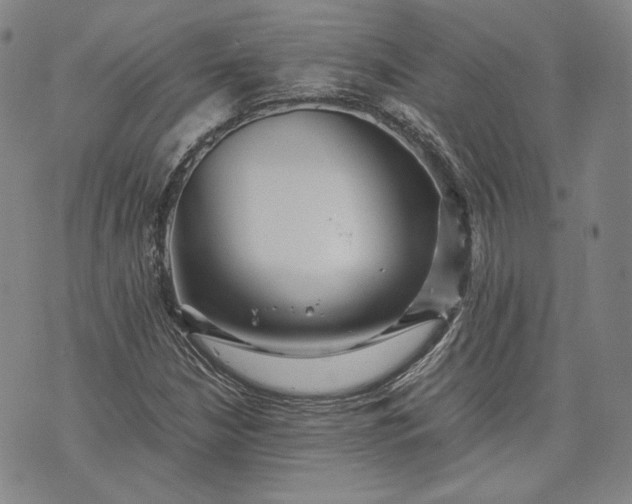 X0000071811210200607141602