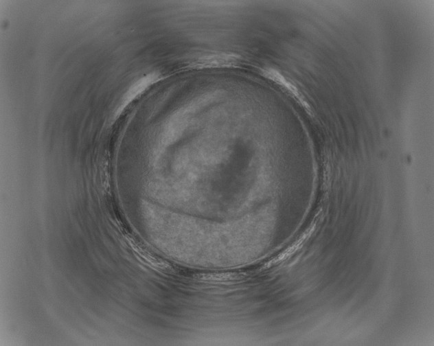 X0000071811211200607141602