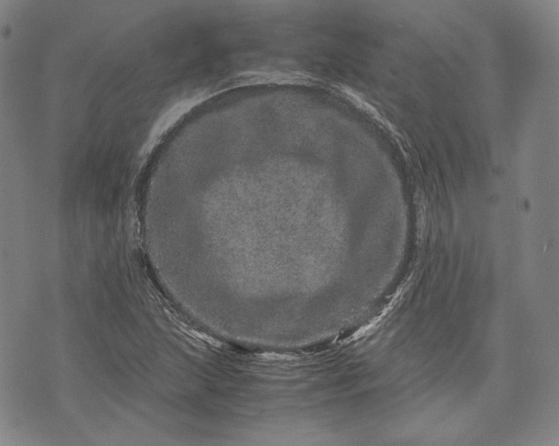 X0000071811215200607141602