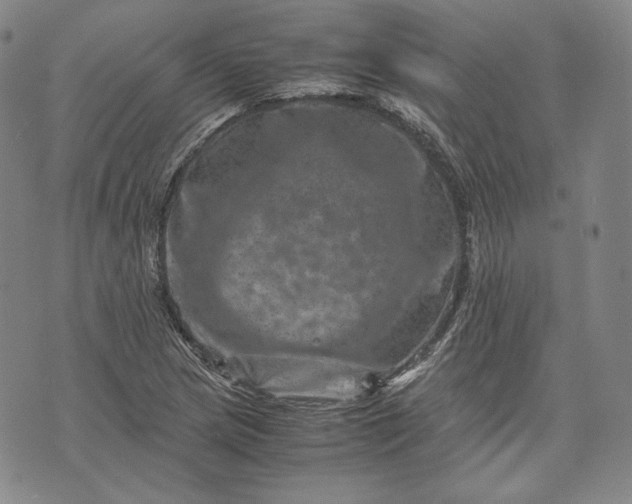 X0000071811217200607141602