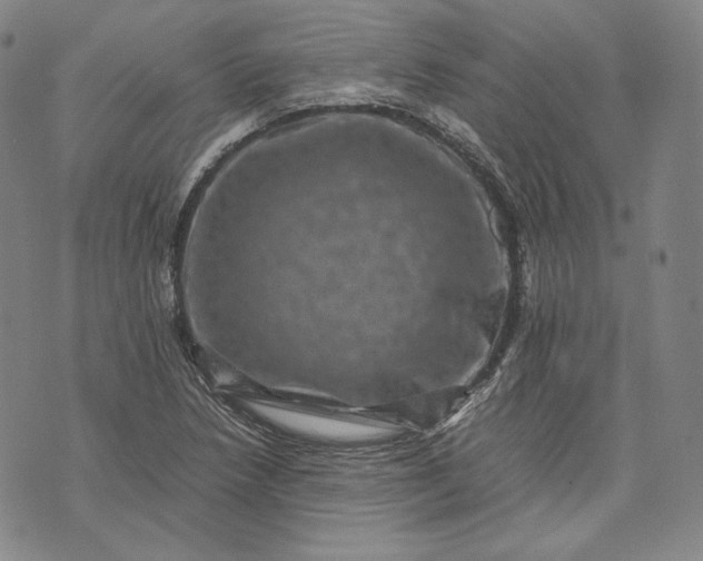 X0000071811218200607141602