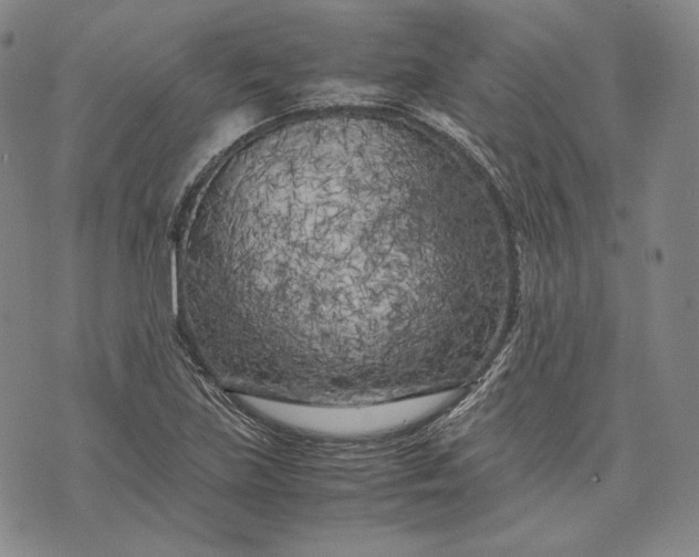 X0000071811219200607141602