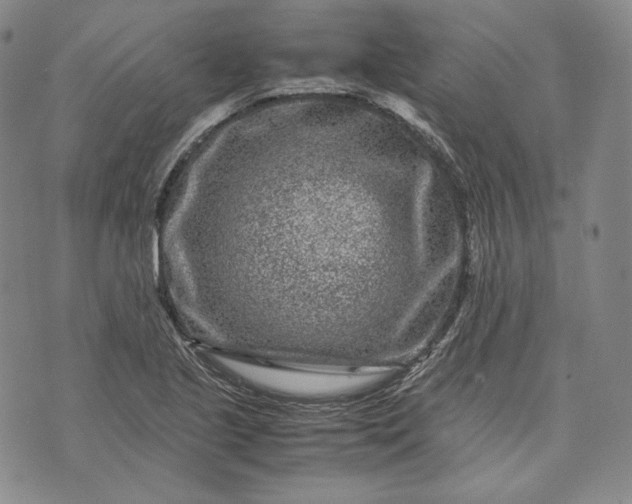 X0000071811221200607141602