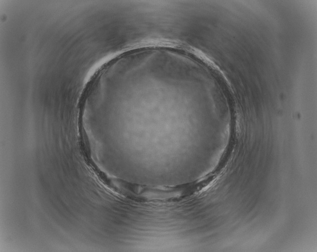 X0000071811222200607141602