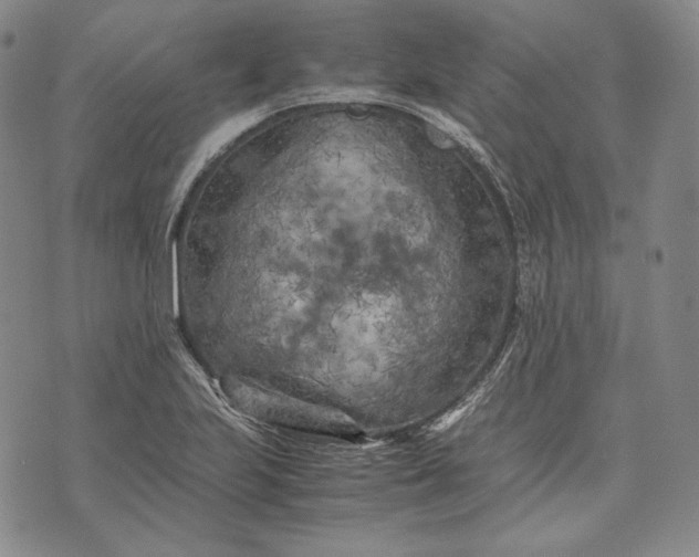 X0000071811223200607141602