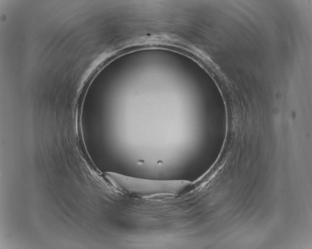 X0000071811224200607141602