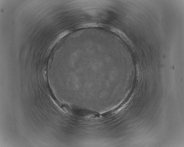 X0000071811225200607141602