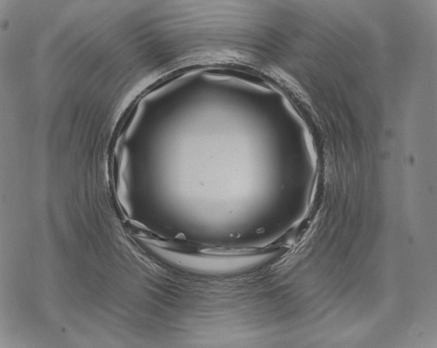 X0000071811226200607141602