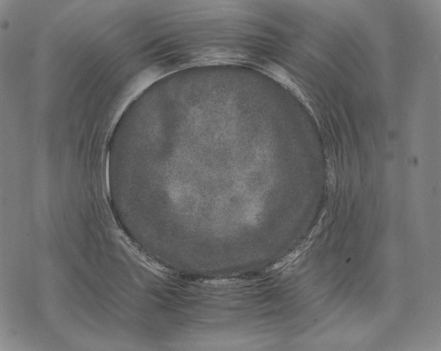 X0000071811227200607141602