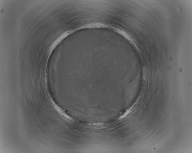 X0000071811229200607141602