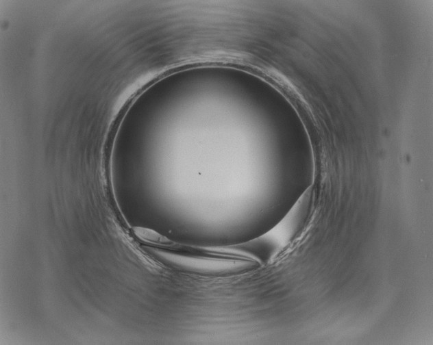 X0000071811230200607141602