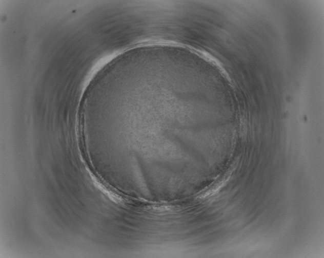 X0000071811231200607141602