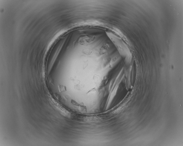 X0000071811232200607141602