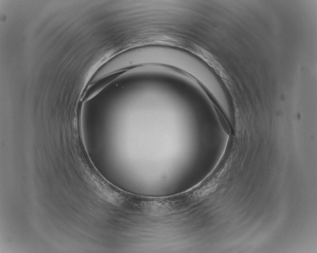 X0000071811234200607141602