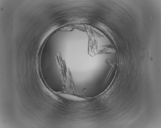 X0000071811235200607141602