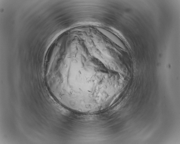 X0000071811236200607141602