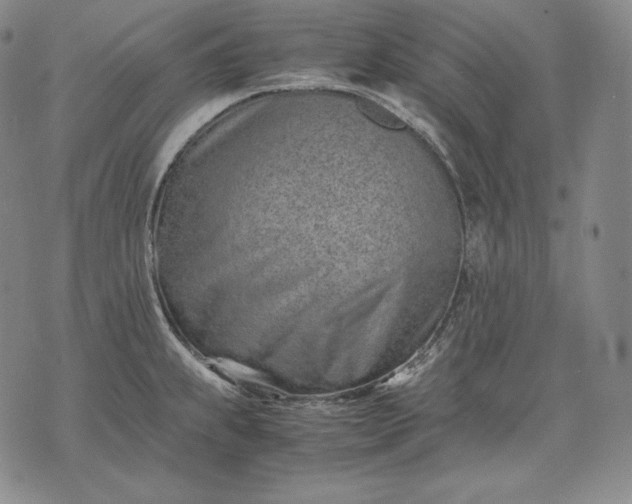 X0000071811239200607141602