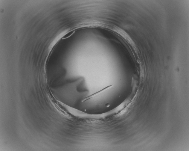 X0000071811242200607141602