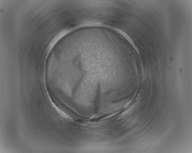 X0000071811245200607141602