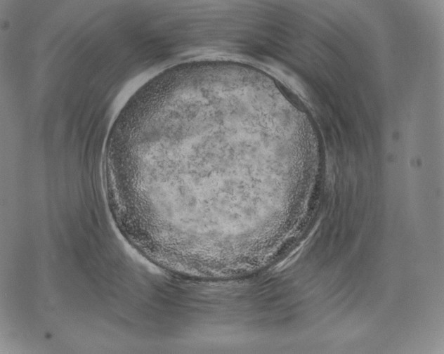 X0000071811247200607141602