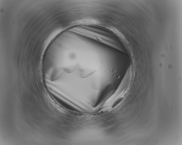 X0000071811248200607141602