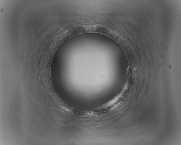 X0000071811249200607141601